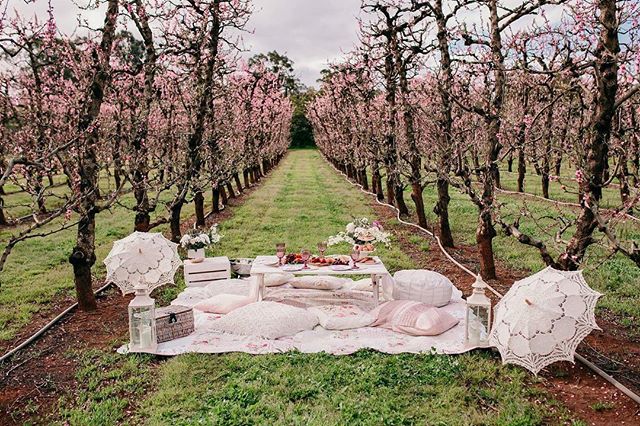 7 Instagram Worthy Locations You Have To Visit In The Perth Hills Armadale