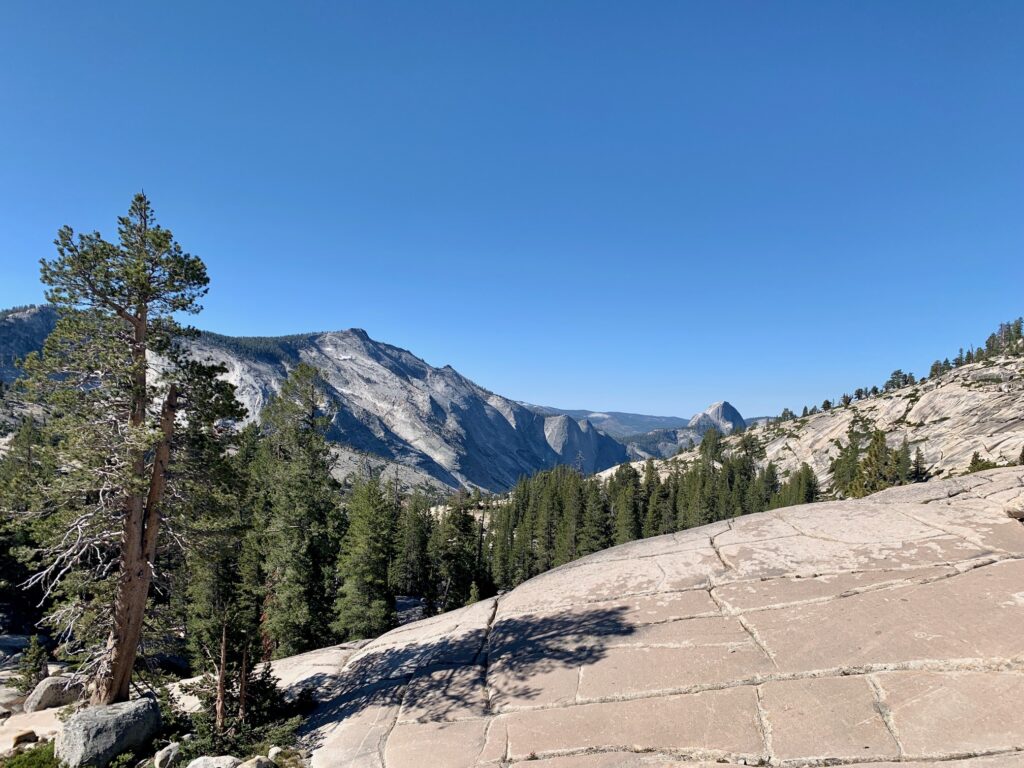 YOSEMITE IN A DAY