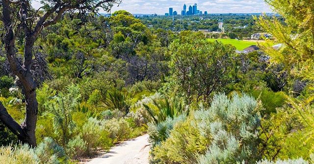 Perth Hiking Trails Worth Getting Outside & Active For | So Perth