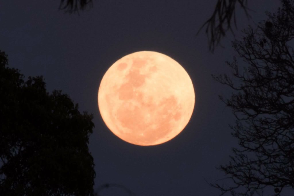 Best Time To View Supermoon 2022
