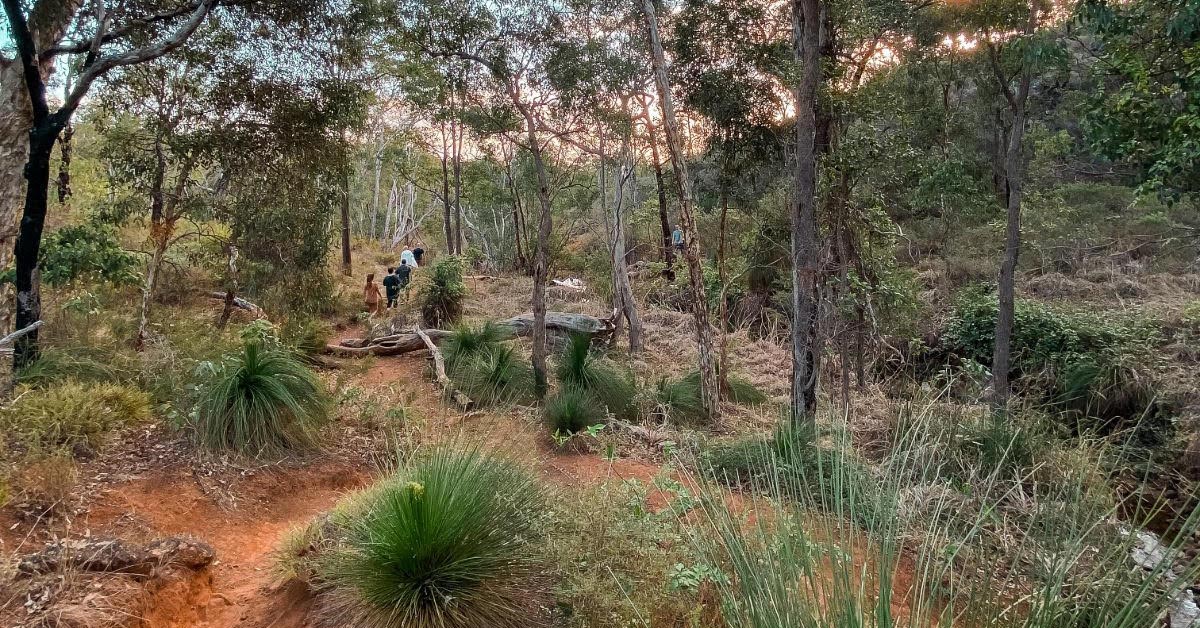 7 Perth Family Friendly Walking Trails For Kids