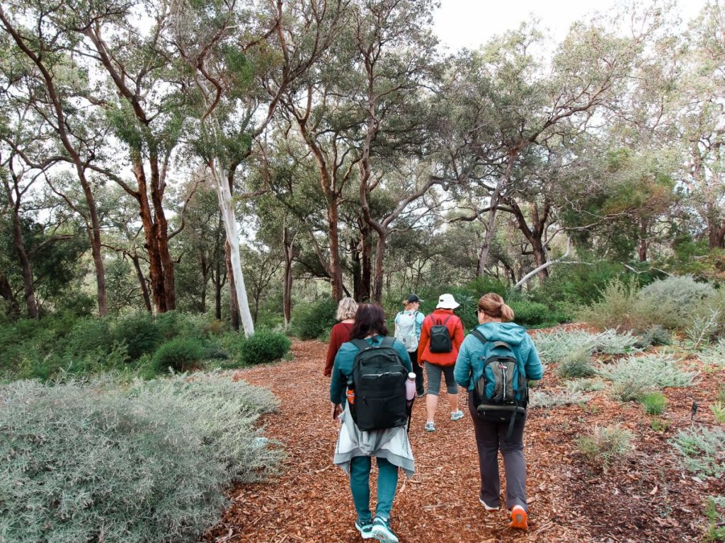 Best Perth Walking Trails - Law Walk, Kings Park
