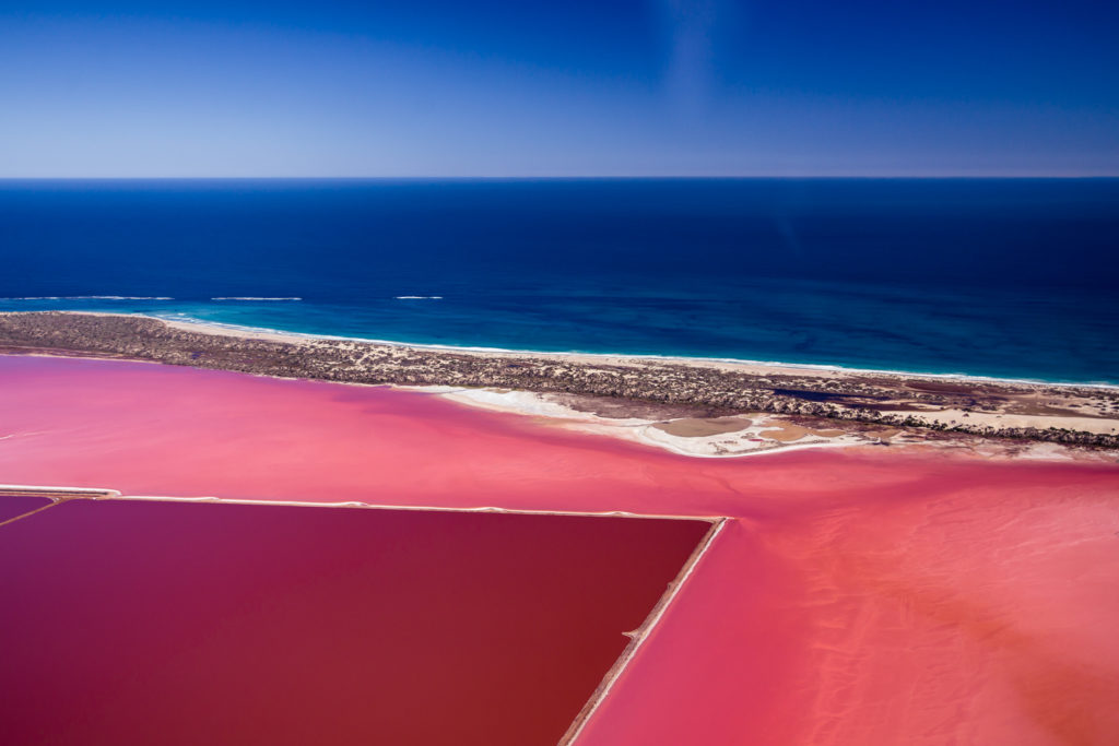Flying back to Geraldton via Hutt Lagoon, the pink lake | Source: Monique Ceccato