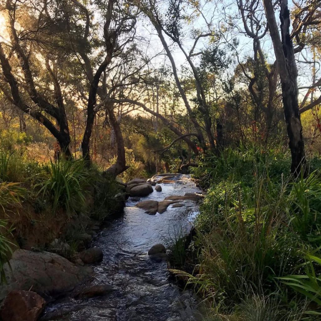 Whistlepipe Gully - Best Autumn Walks Perth