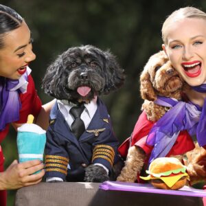 Virgin Australia pet flights