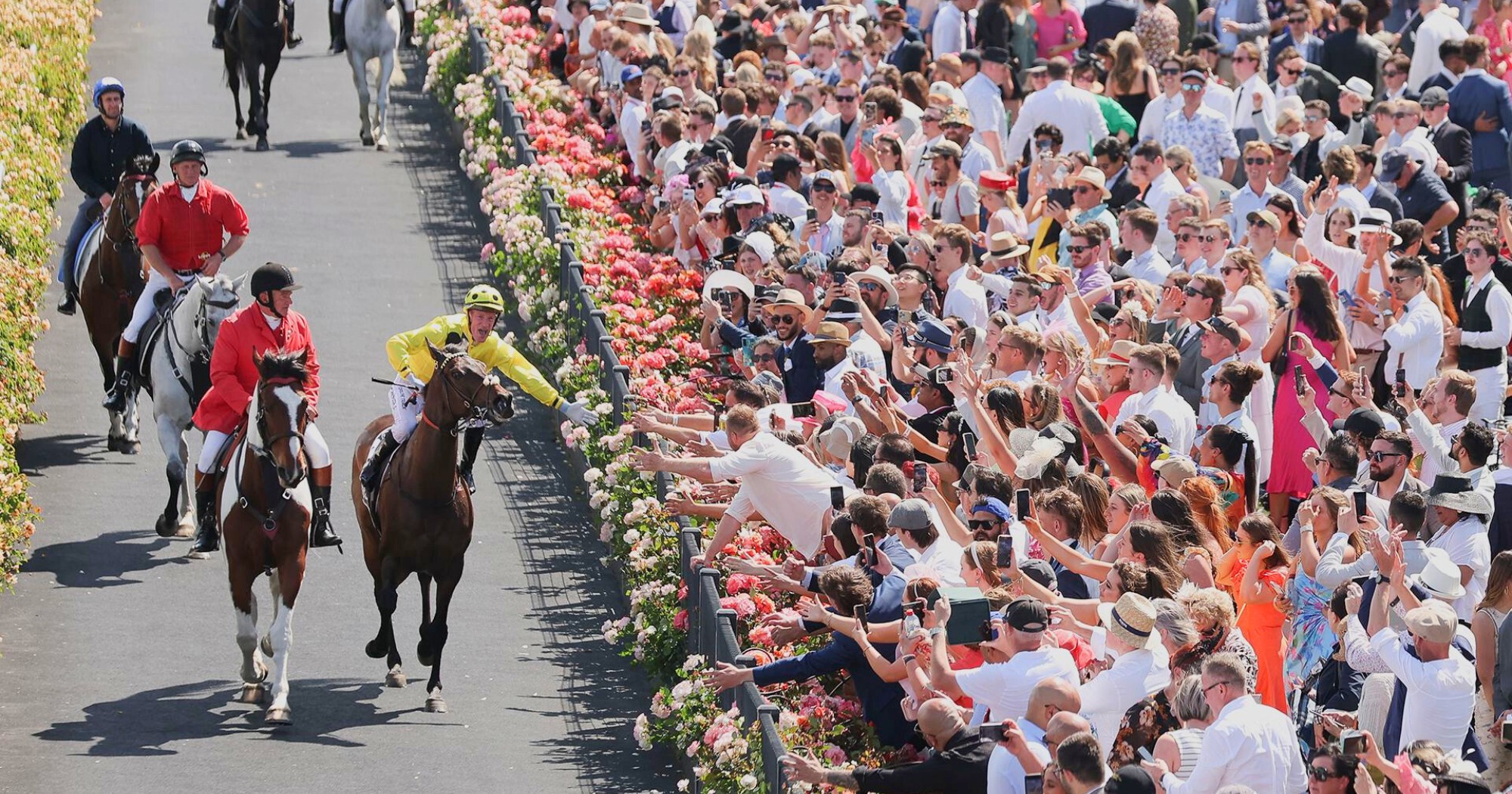 Melbourne Cup Favourites Who Will Win The Melbourne Cup 2024