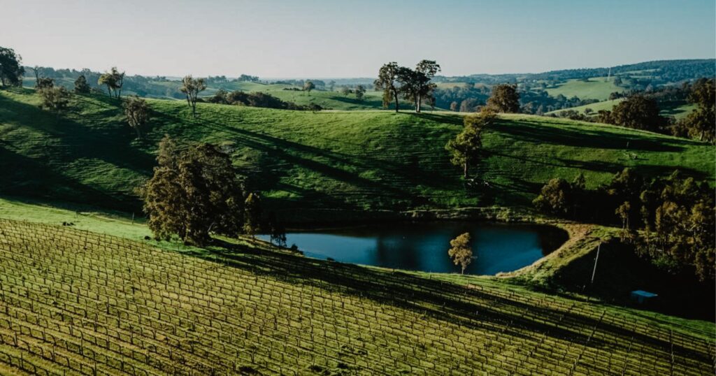 Geographe wine region