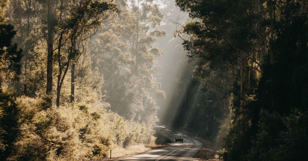 Pemberton 7 Winter Escapes Worth The Drive From Perth