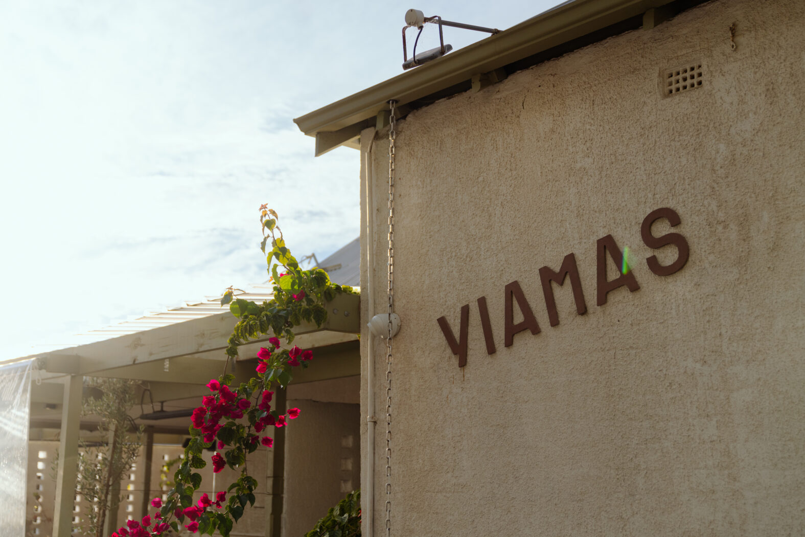 Yiamas